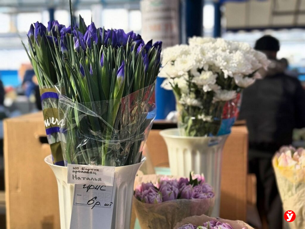 Тюльпаны на продажу