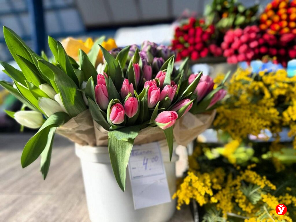 Тюльпаны на продажу