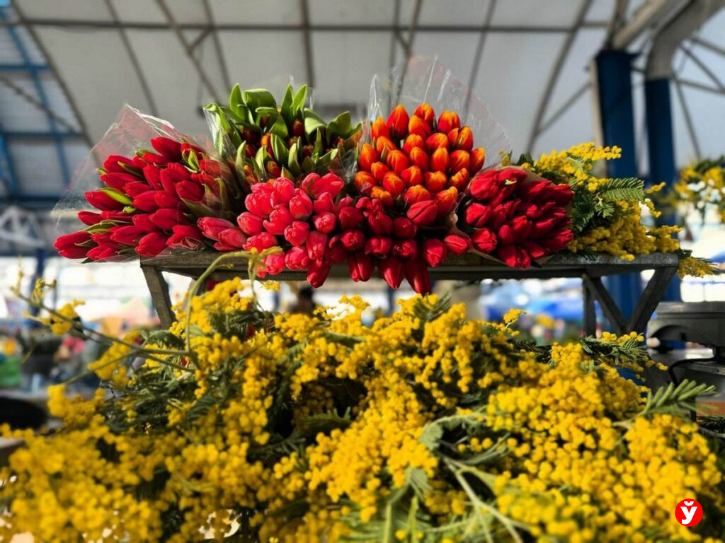 Тюльпаны на продажу