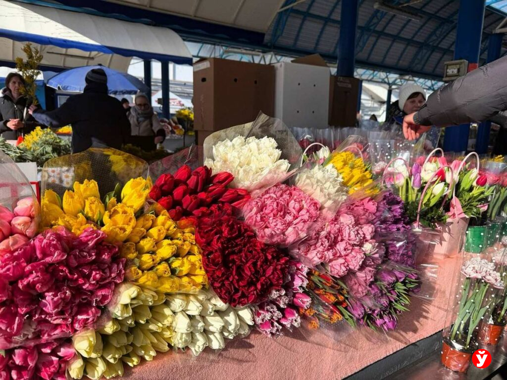 Тюльпаны на продажу