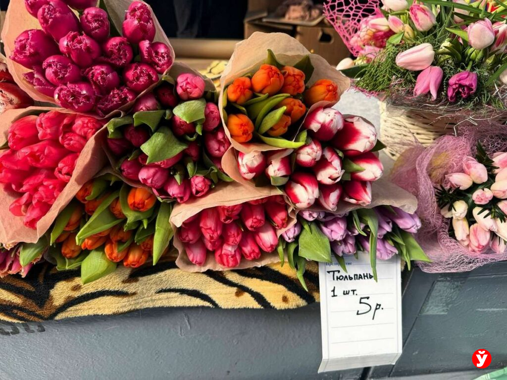 Тюльпаны на продажу