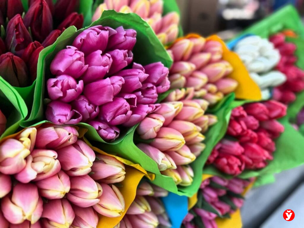 Тюльпаны на продажу