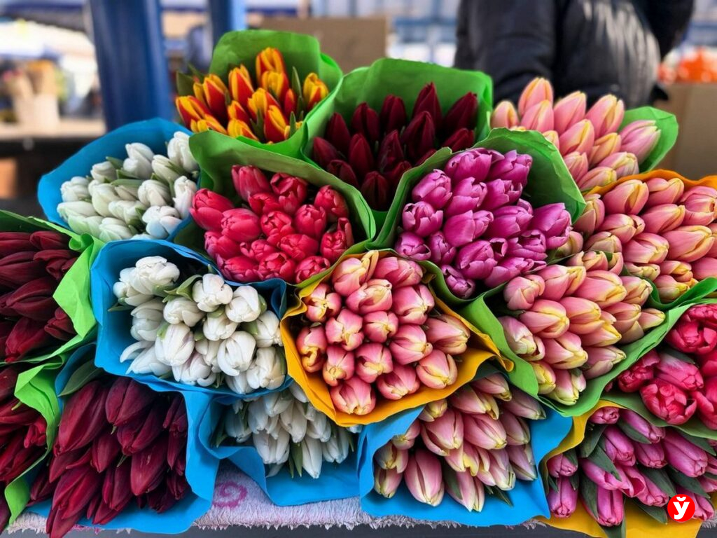 Тюльпаны на продажу