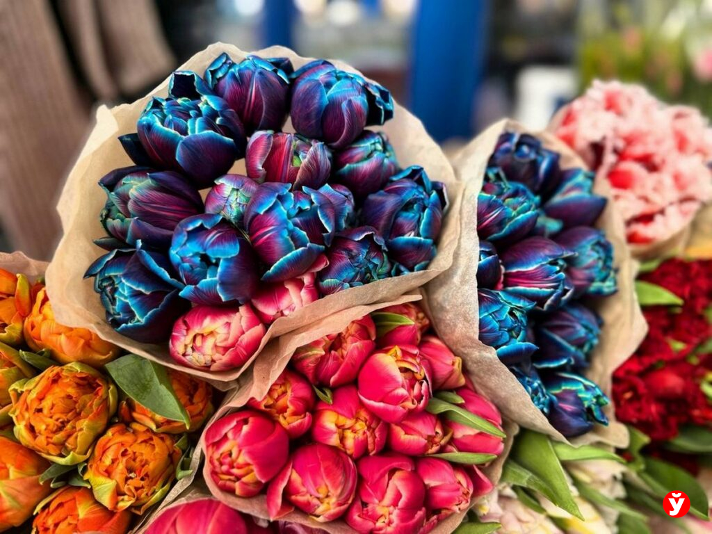 Тюльпаны не вянут 10 дней: 7 секретов, которые реально работают