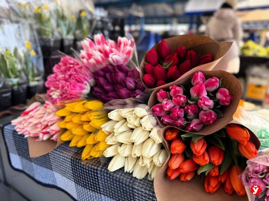 Тюльпаны на продажу