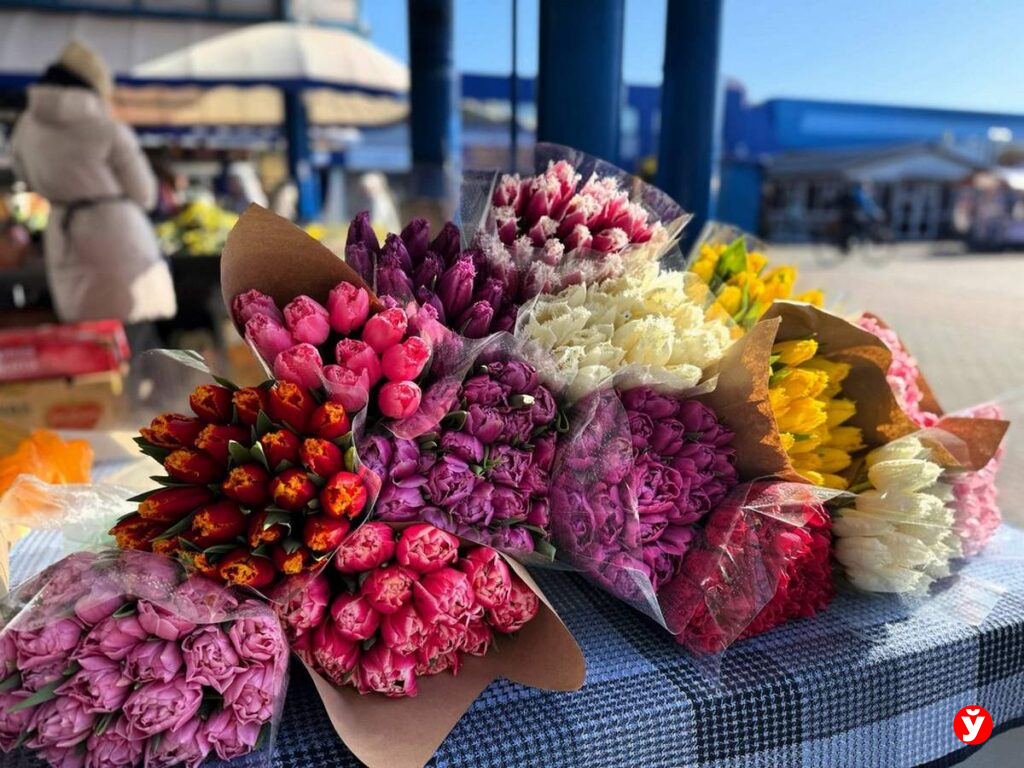 Тюльпаны на продажу