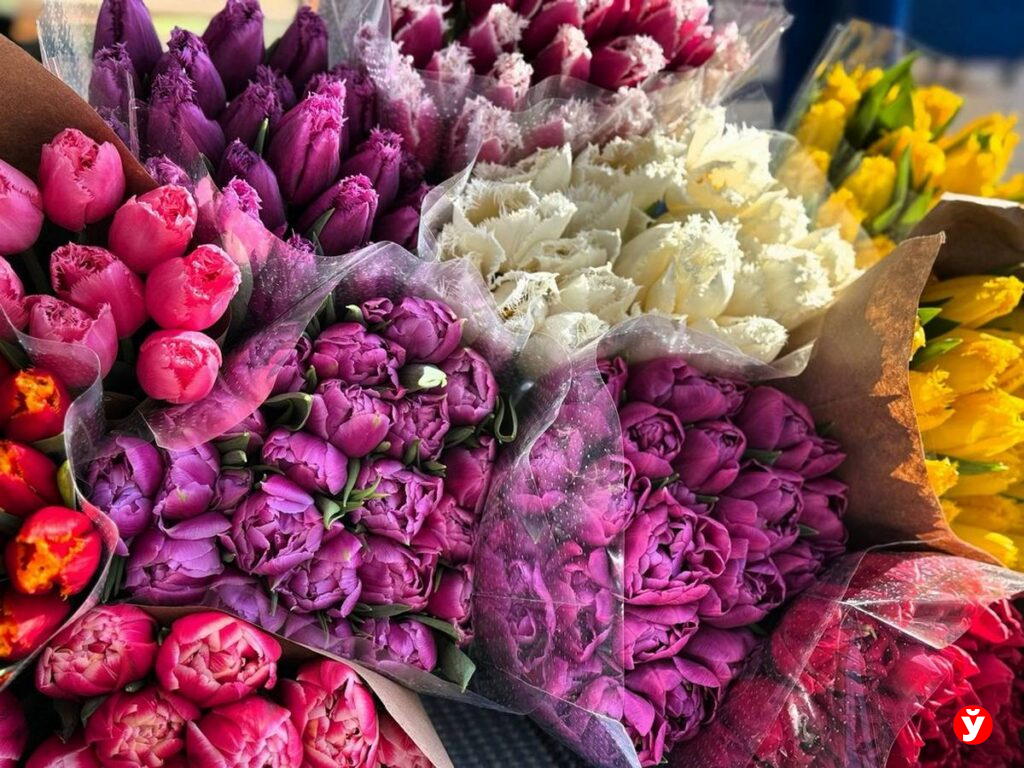 Тюльпаны на продажу