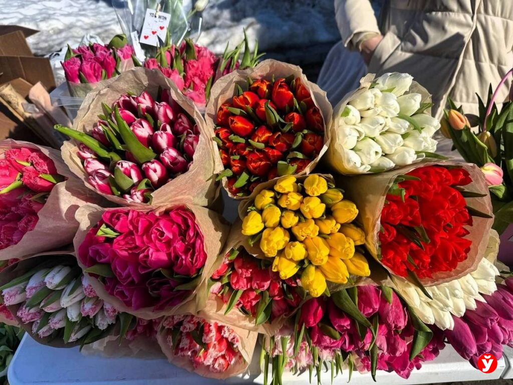 Тюльпаны на продажу