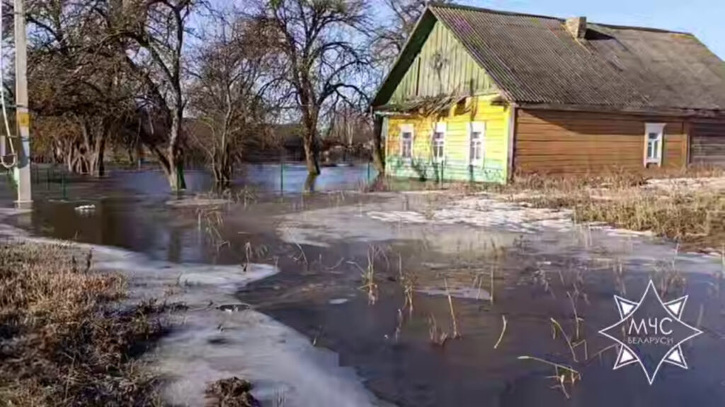 Подтоплены 16 домов и 39 подворий – МЧС обнародовало масштабы весеннего паводка в Беларуси