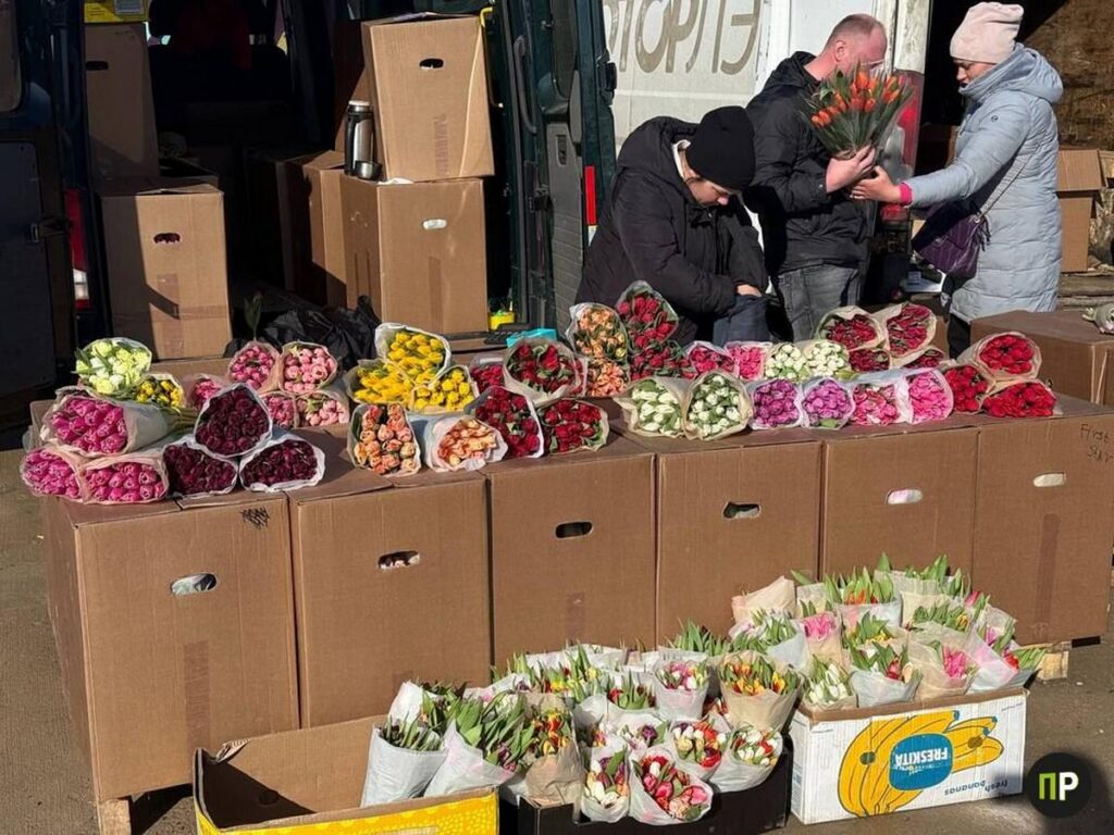 Фиолетовые, пионовидные, с бахромой: изучаем ассортимент тюльпанов на Таборах 