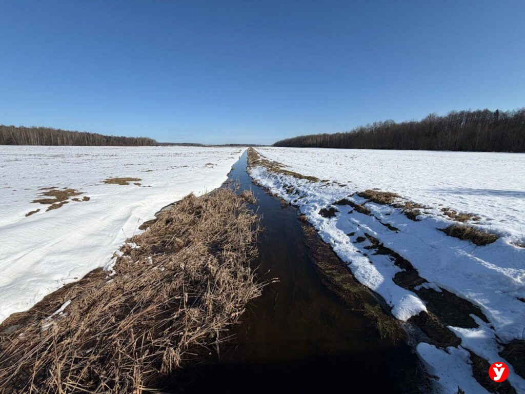 Антициклон «Яннис» принесёт в Беларусь почти майское тепло