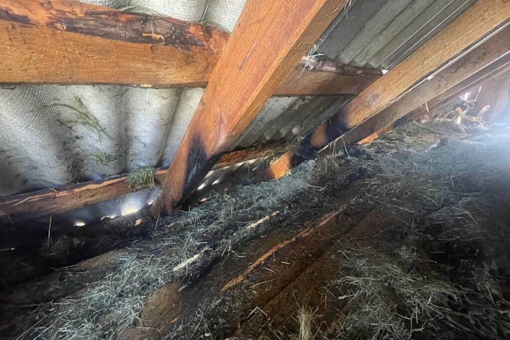 Под Логойском из-за загоревшейся на чердаке соломы едва не сгорела хозпостройка