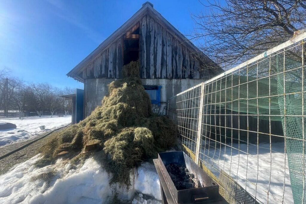 Под Логойском из-за загоревшейся на чердаке соломы едва не сгорела хозпостройка