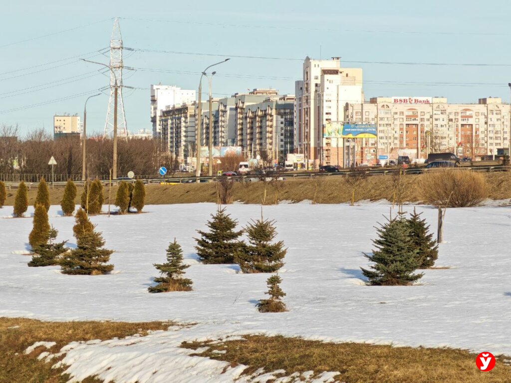 0 рублей за аренду: в Минске бизнесу предлагают 26 помещений – где находятся и какие условия
