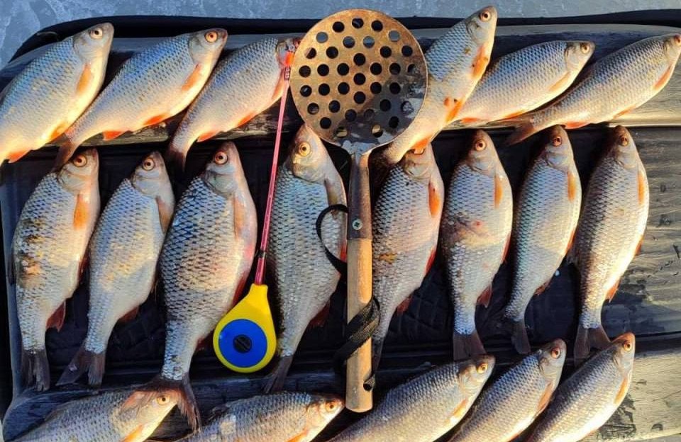 Рыбаки хвастаются трофеями с водоемов Вилейки и Мяделя