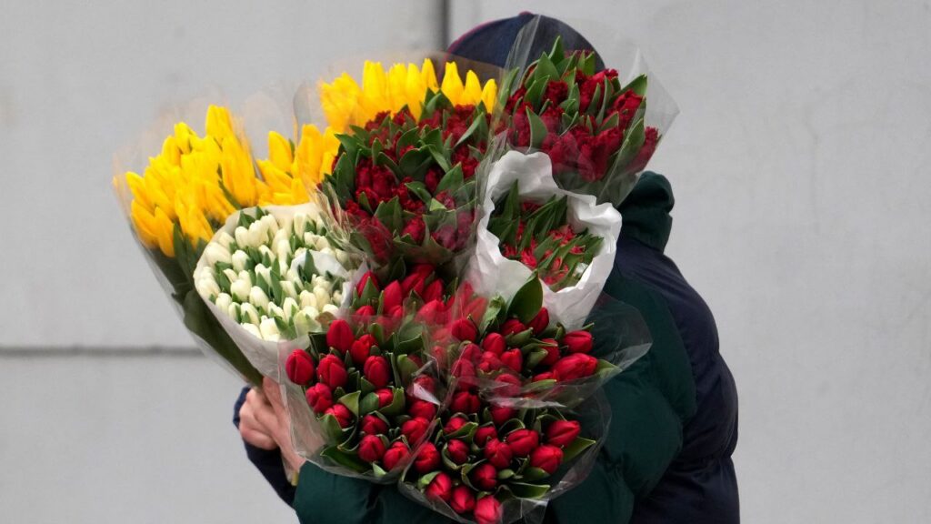 В Борисове парень отдал мошенникам 1800 руб. Он хотел подарить маме три тысячи тюльпанов