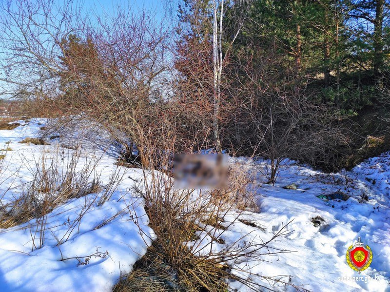 В овраге под Столбцами нашли тело мужчины со следами насильственной смерти