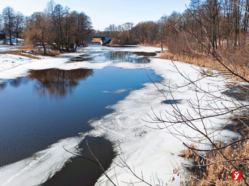 Половодье в Минской области: Березина вскрылась у Борисова, на Свислочи вода вышла на пойму