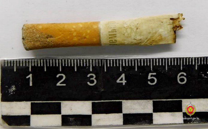 Вора из Беларуси вычислили по окурку и завели уголовное дело