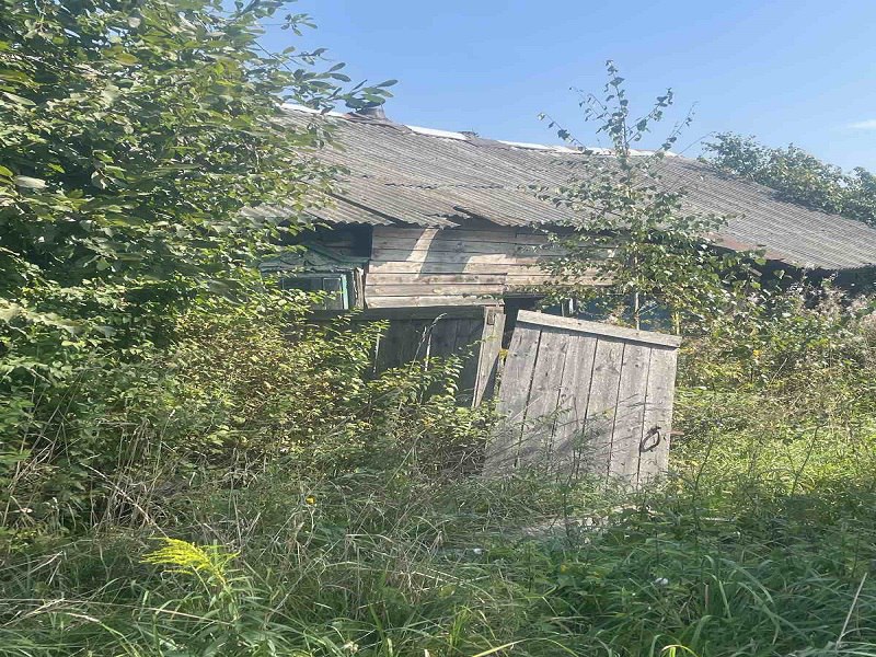 В Борисовском районе дом вековой давности продают на аукционе за 42 рубля