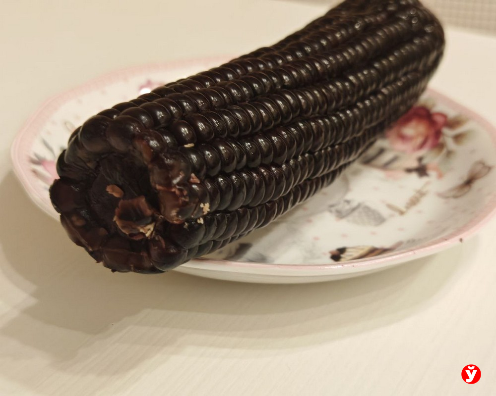 Чёрная кукуруза: суперфуд или разочарование? Честная дегустация «МП»