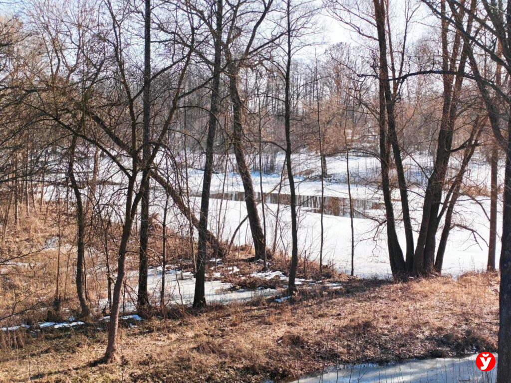 Кратковременные дожди и туман: что ждать от погоды с 16 по 22 марта