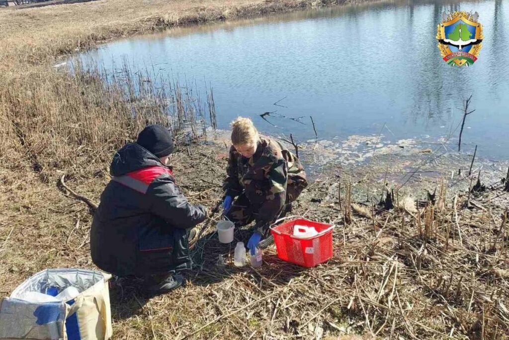 Замор рыбы в Лунинецком районе: специалисты ищут причину экологического ЧП