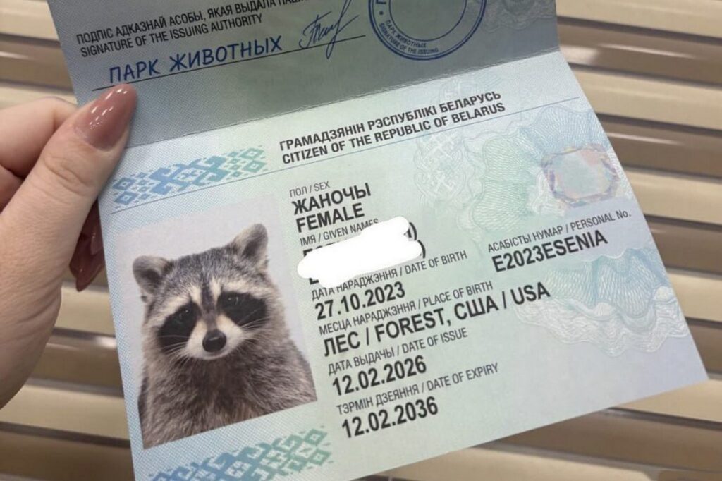 Еноту из США выдали новый паспорт – теперь её зовут Есения