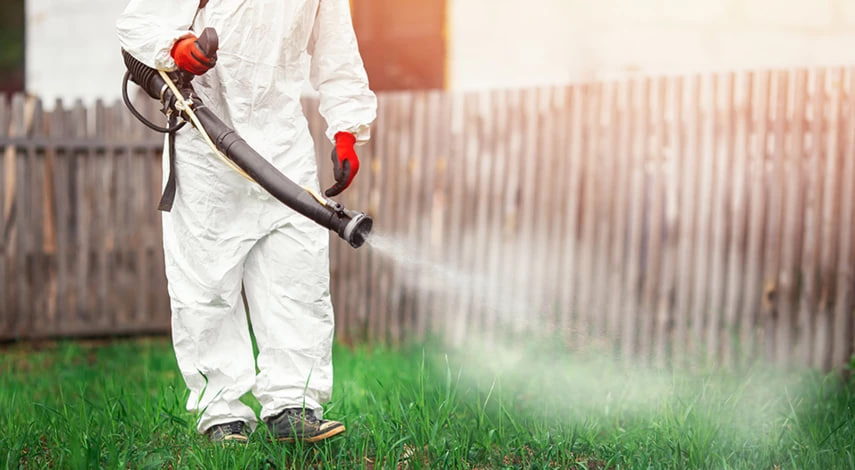 Клещи просыпаются: когда и как обрабатывать участок, чтобы обезопасить семью