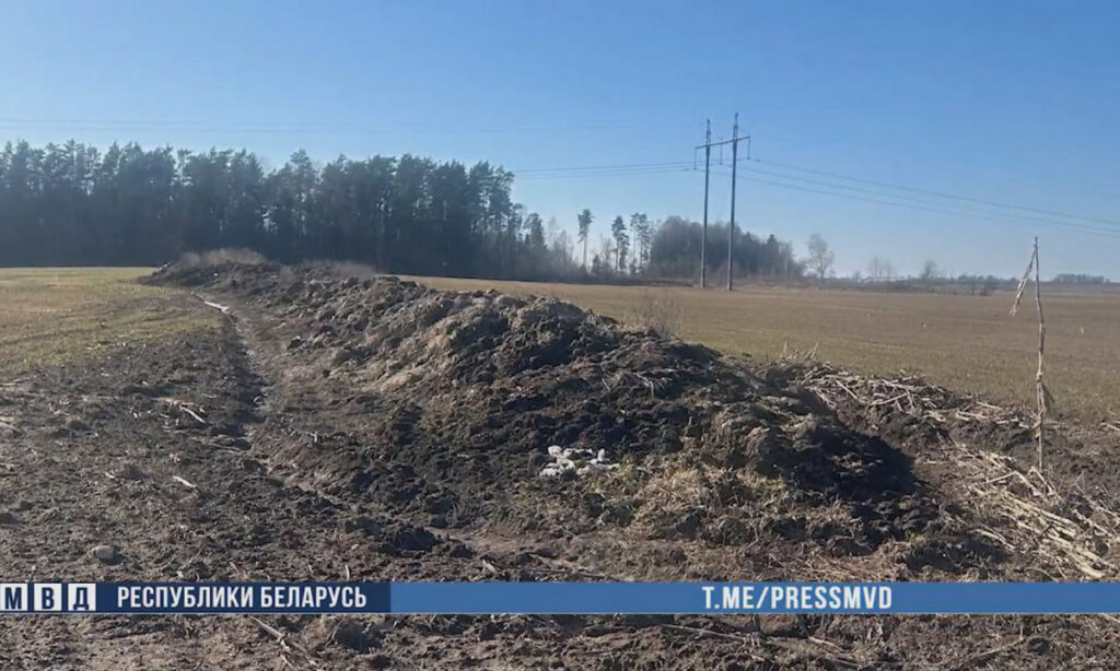 В Узденском районе раскрыта схема сокрытия порчи 1,4 тысячи тонн сенажа