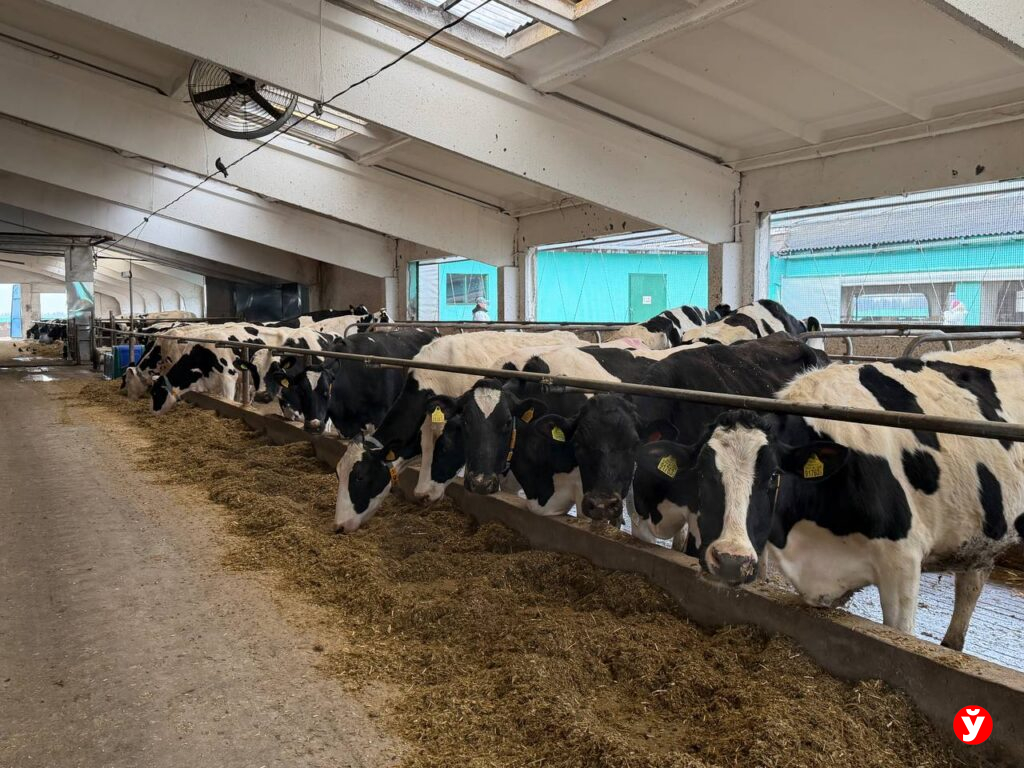 Минский район