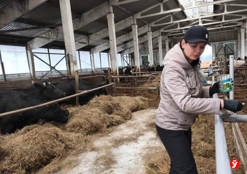 Весенний субботник по-белорусски: Минщина дружно сделала фермы образцовыми