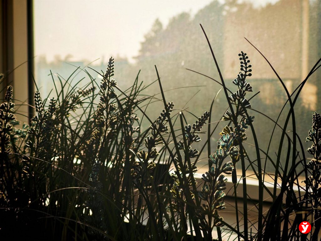 Весна набирает обороты: до 15 тепла и без дождей прогнозируют 22 марта