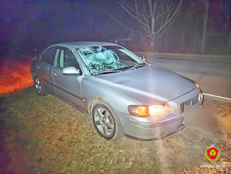 Личность погибшего в ДТП под Молодечно установили по отпечаткам пальцев