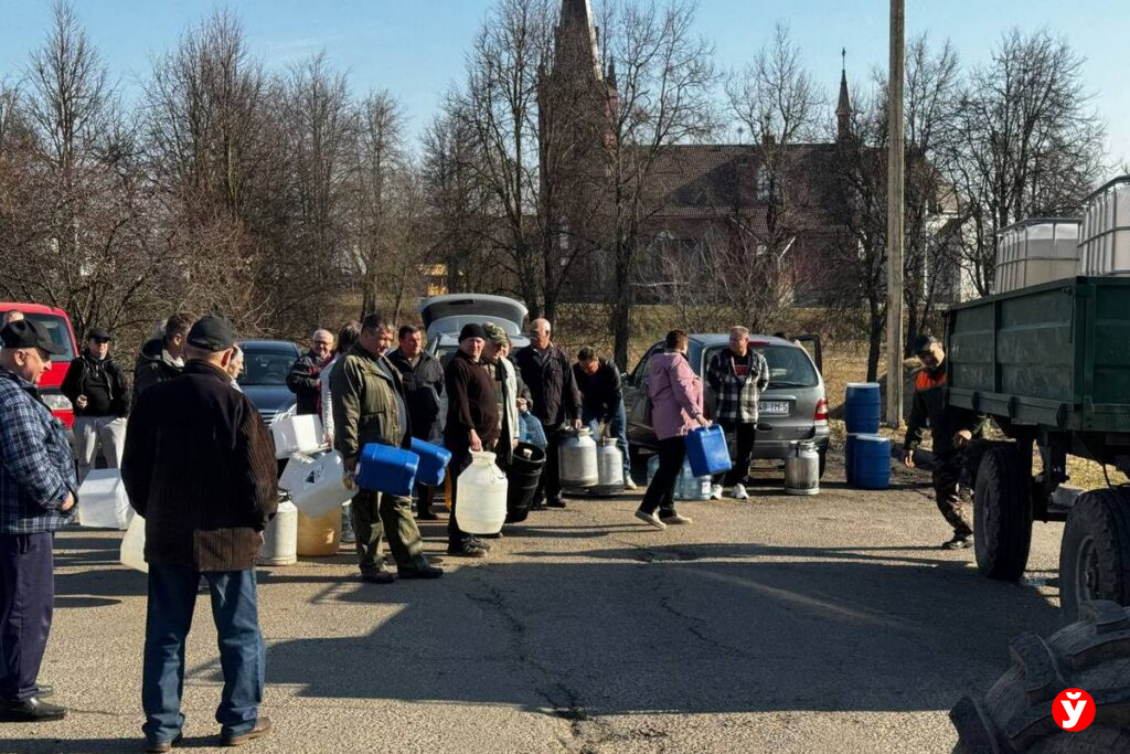 Березовый сок в Столбцах разбирают бидонами: 3,5 тонны ушли за два часа