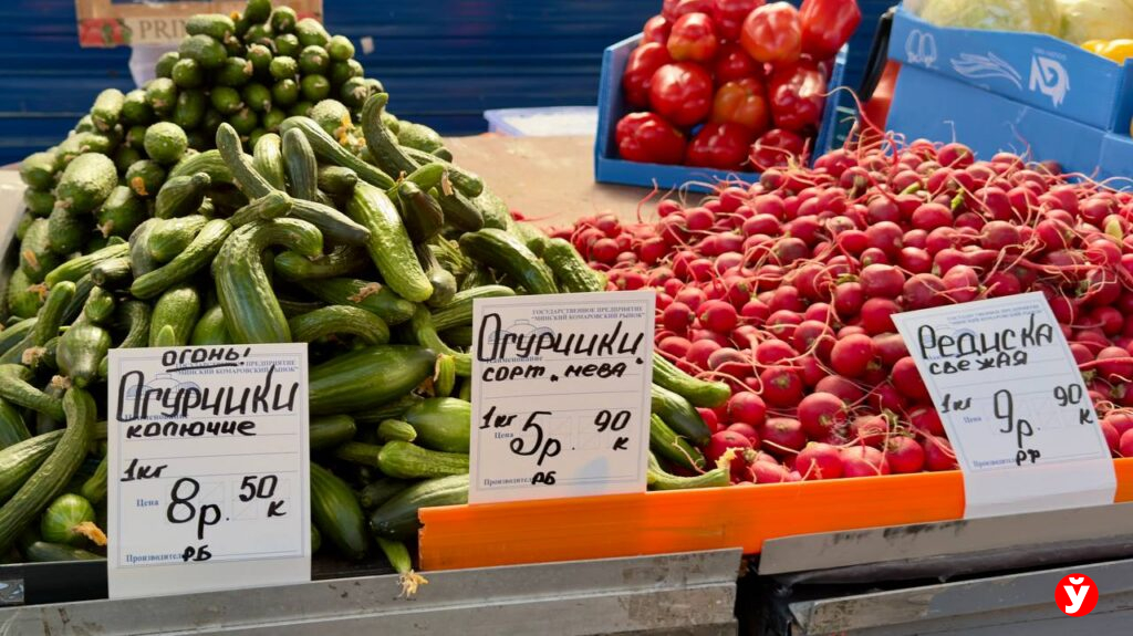 Клубника от 13,90, голубика до 100 рублей и черешня за 230: свежие цены на Комаровском рынке