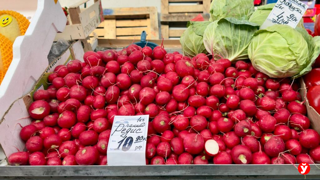 Клубника от 13,90, голубика до 100 рублей и черешня за 230: свежие цены на Комаровском рынке