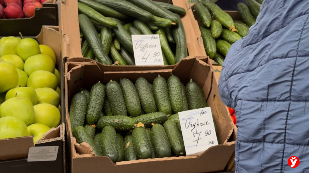 Клубника от 13,90, голубика до 100 рублей и черешня за 230: свежие цены на Комаровском рынке