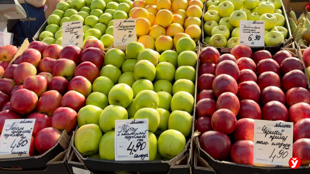 Клубника от 13,90, голубика до 100 рублей и черешня за 230: свежие цены на Комаровском рынке