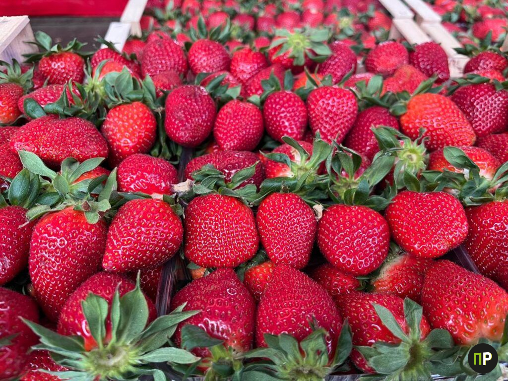 Цены падают: сколько стоят яйца, клубника и овощи на рынке в Таборах