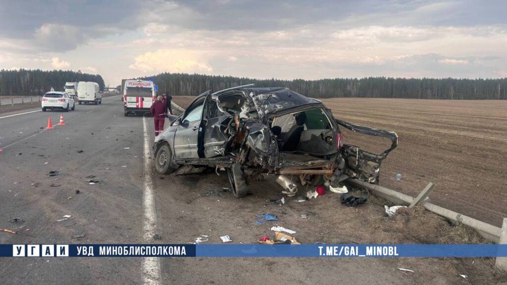 Под Смолевичами фура врезалась в стоявший на обочине минивэн – погибла пассажирка