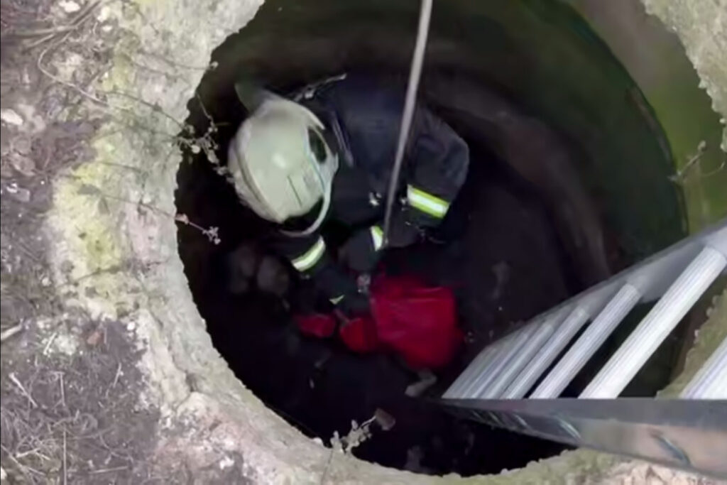 Собака более двух дней просидела в колодце под Минском – ее спасли курсанты МЧС