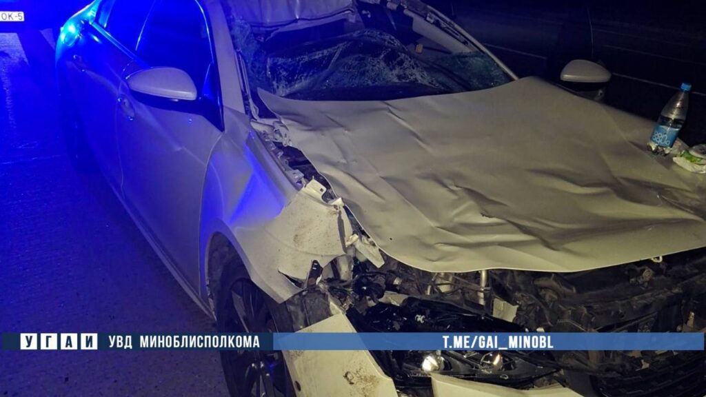 Лось выбежал под авто в Узденском районе – в ДТП пострадал водитель