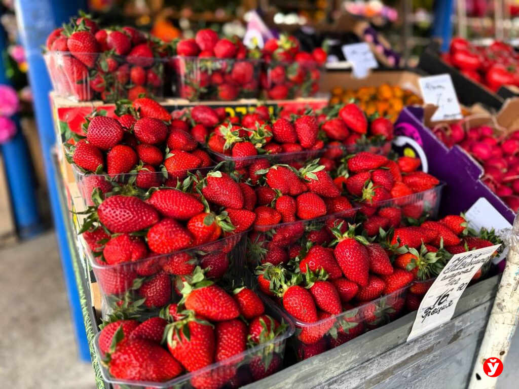 Редис, огурцы из Бреста, клубника и голубика до 100 рублей — какие цены сейчас на Комаровке