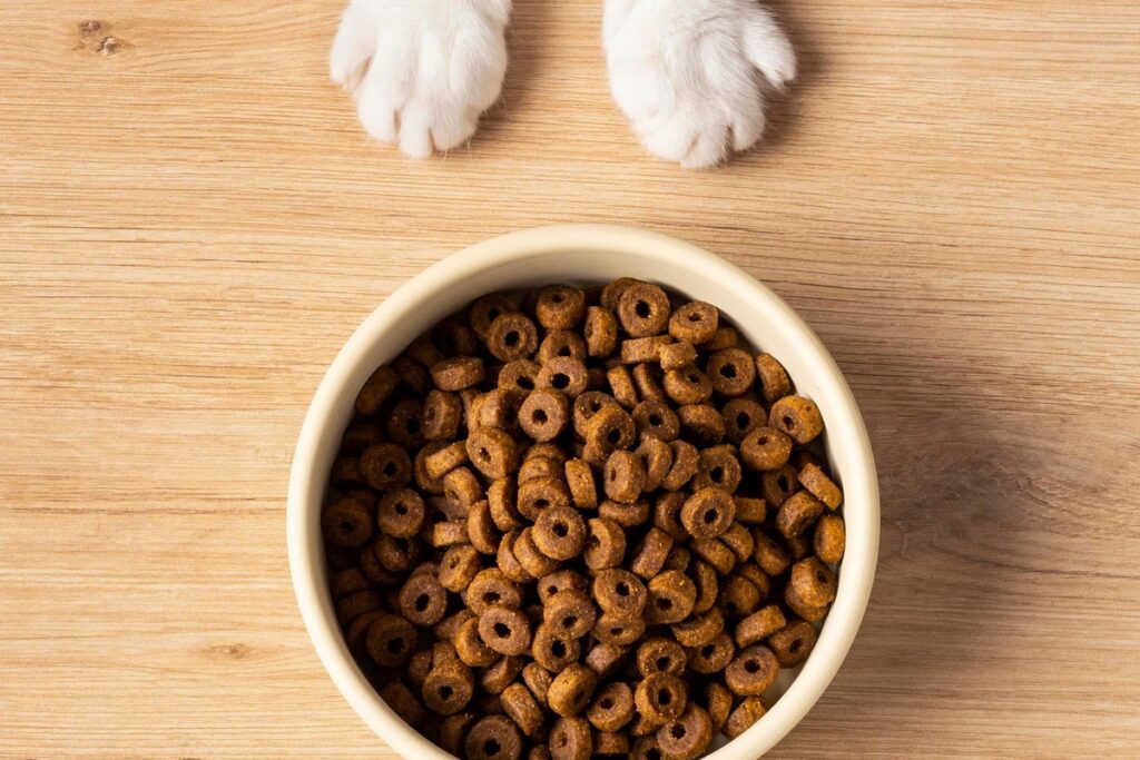 Белорусский рынок обновили: обязательный корм для животных и новые стандарты шоколада