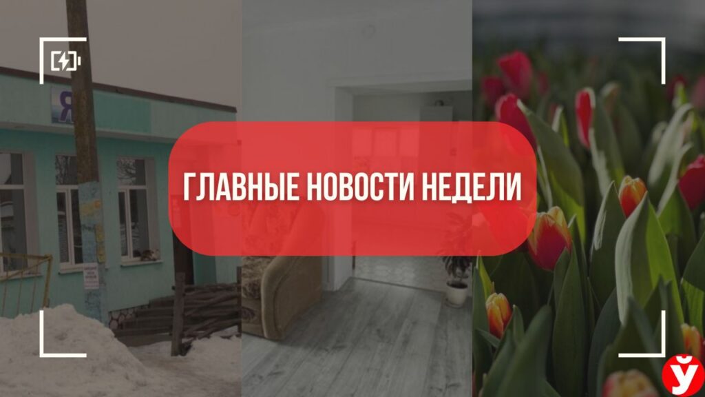 Топ-5 новостей Минщины: цветочная ферма, цены на аренду и скандал вокруг сельского магазина