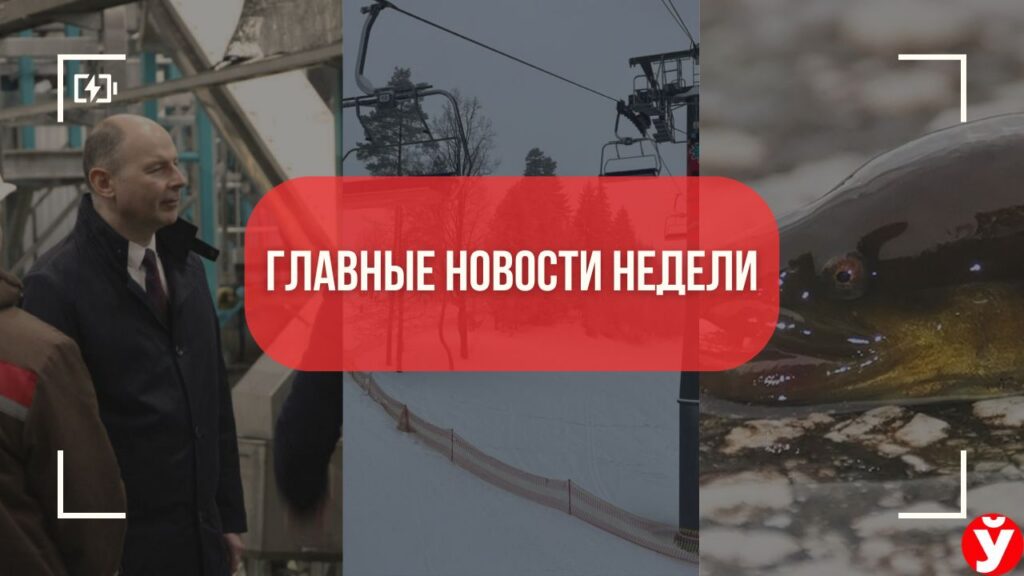 Топ-5 новостей Минщины: мегазавод под Фаниполем, особый вылов угря и закрытие «Логойска»
