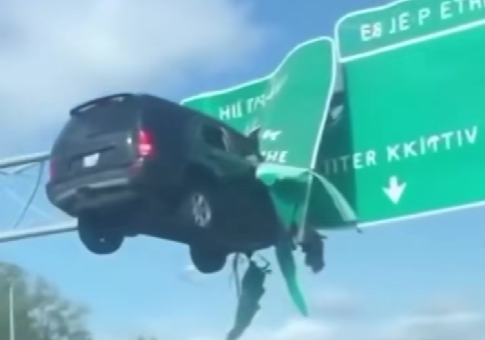 «Летающий» автомобиль и бегство от гиены: подборка видео от нейросетей