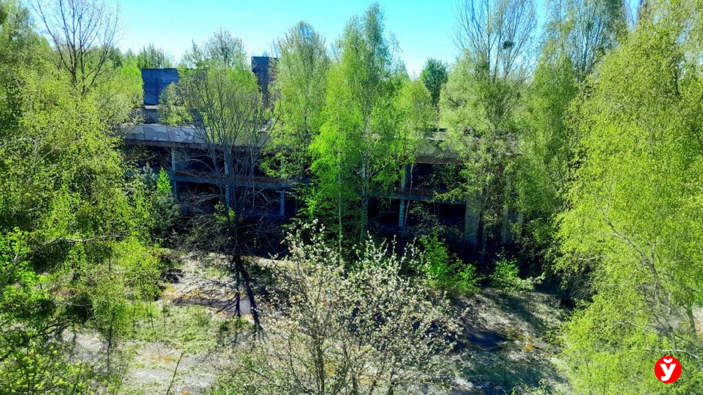 С 18 по 21 апреля проехать к кладбищам в зонах отчуждения можно без пропусков – что для этого нужно