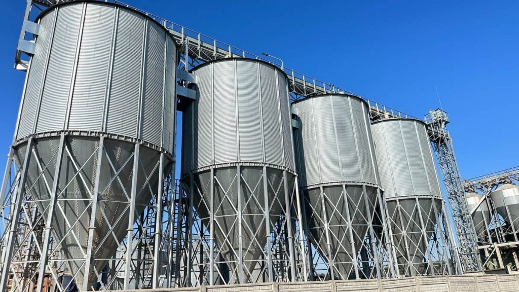 11 лет роста: как свинокомплекс «Заболоть» сочетает инновации и заботу о сотрудниках